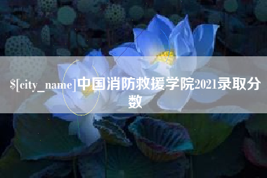 北海中国消防救援学院2021录取分数