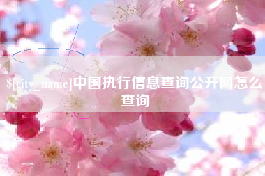 北海中国执行信息查询公开网怎么查询