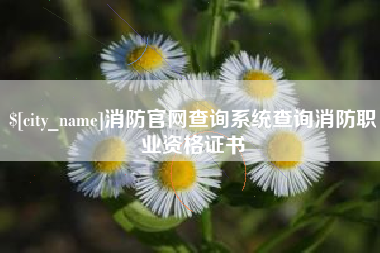 北海消防官网查询系统查询消防职业资格证书
