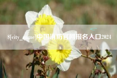 北海中国消防官网报名入口2024