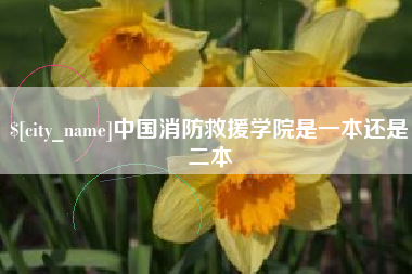 北海中国消防救援学院是一本还是二本
