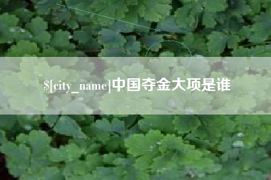 北海中国夺金大项是谁
