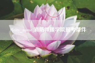 北海消防救援学院报考条件