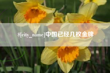 北海中国已经几枚金牌