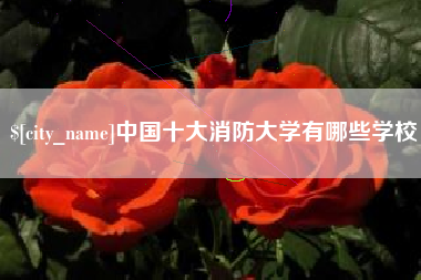 北海中国十大消防大学有哪些学校