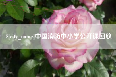 北海中国消防中小学公开课回放
