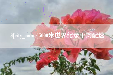 北海5000米世界纪录平均配速