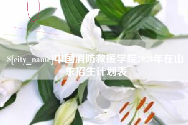 北海中国消防救援学院2020年在山东招生计划表