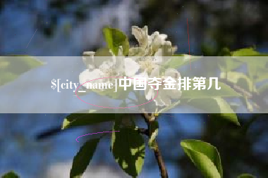 北海中国夺金排第几