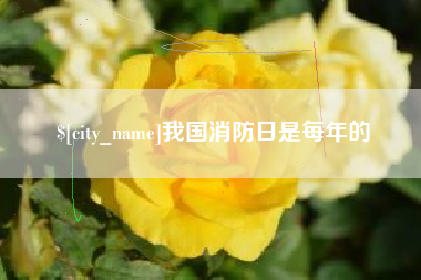 北海我国消防日是每年的
