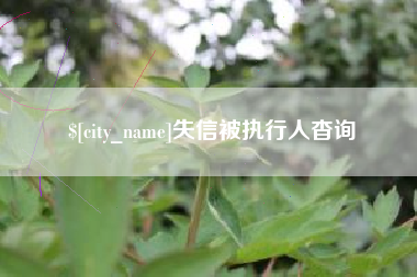 北海失信被执行人杳询