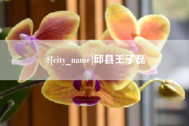 北海邱县王子磊