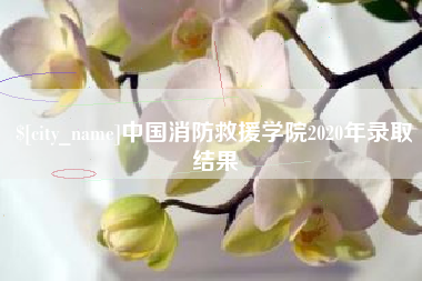 北海中国消防救援学院2020年录取结果