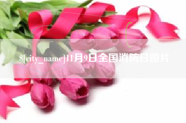 北海11月9日全国消防日图片