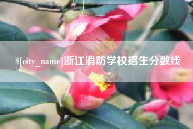 北海浙江消防学校招生分数线