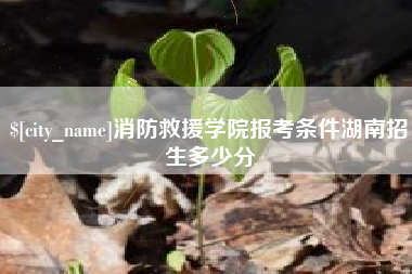 北海消防救援学院报考条件湖南招生多少分