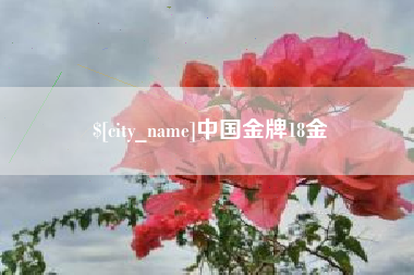 北海中国金牌18金