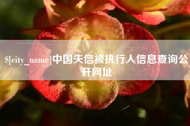 北海中国失信被执行人信息查询公开网址
