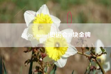 北海奥运会39块金牌