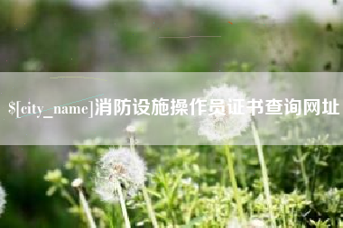 北海消防设施操作员证书查询网址