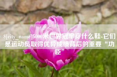 北海5000米世界冠军穿什么鞋-它们是运动员取得优异成绩背后的重要“功臣”