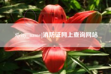 北海消防证网上查询网站