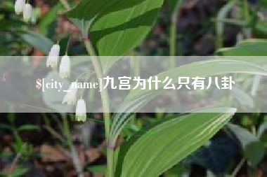 北海九宫为什么只有八卦