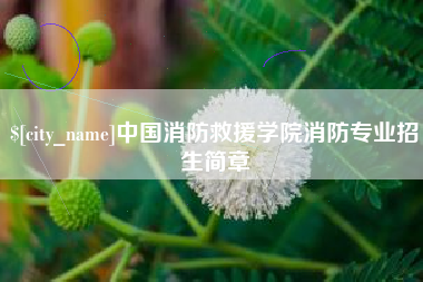 北海中国消防救援学院消防专业招生简章