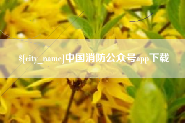北海中国消防公众号app下载