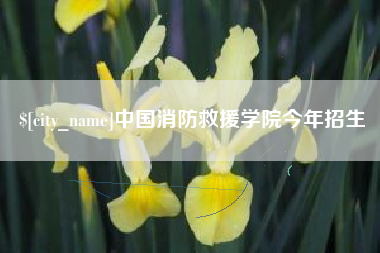 北海中国消防救援学院今年招生