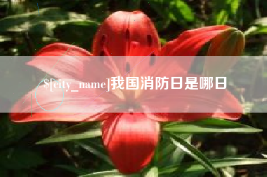 北海我国消防日是哪日