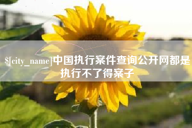 北海中国执行案件查询公开网都是执行不了得案子