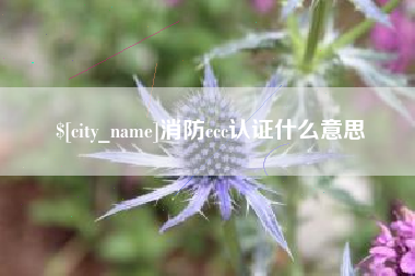 北海消防ccc认证什么意思