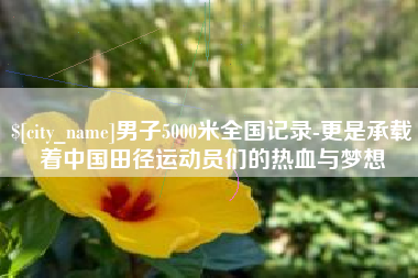 北海男子5000米全国记录-更是承载着中国田径运动员们的热血与梦想