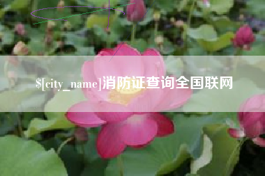 北海消防证查询全国联网