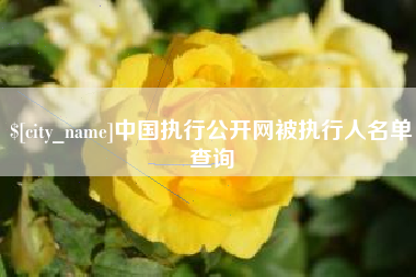 北海中国执行公开网被执行人名单查询