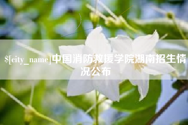 北海中国消防救援学院湖南招生情况公布
