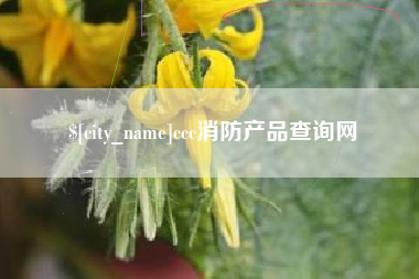 北海ccc消防产品查询网