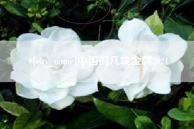 北海中国的几块金牌2021