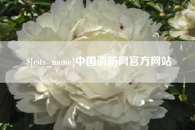 北海中国消防网官方网站