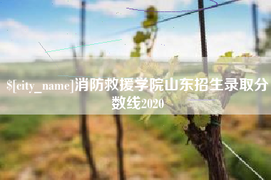 北海消防救援学院山东招生录取分数线2020