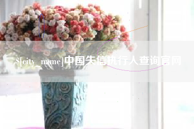 北海中国失信执行人查询官网