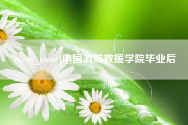 北海中国消防救援学院毕业后