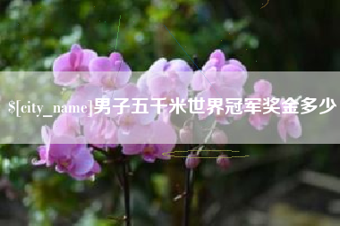 北海男子五千米世界冠军奖金多少