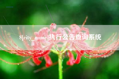 北海执行公告查询系统