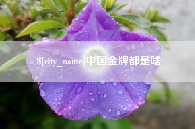 北海中国金牌都是啥