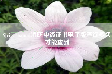 北海消防中级证书电子版查询多久才能查到