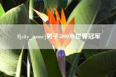 北海男子5000米世界冠军