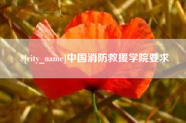 北海中国消防救援学院要求