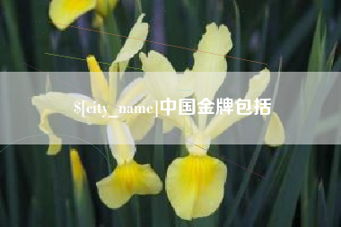 北海中国金牌包括